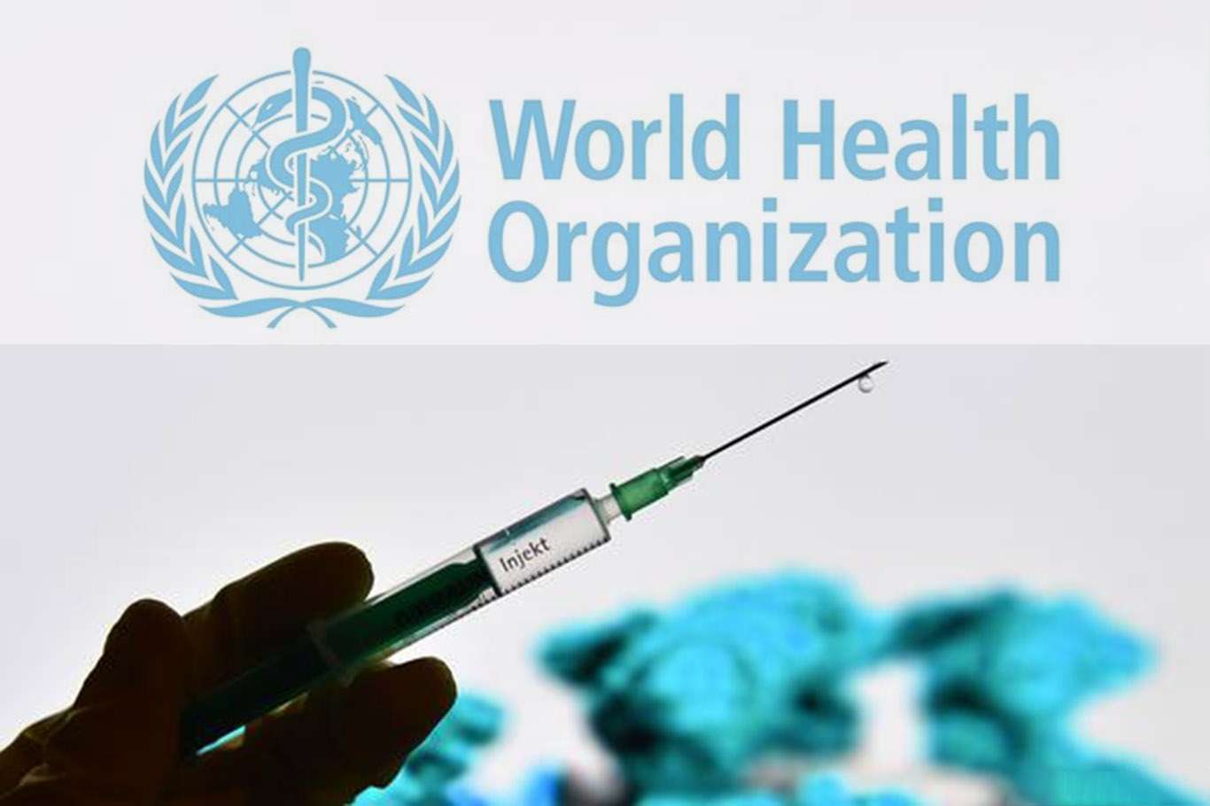 WHO: Coronavirus aşısı bulunana kadar ölü sayısı iki katına çıkabilir